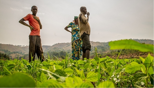 PROJET RÉSILIENCE CLIMATIQUE